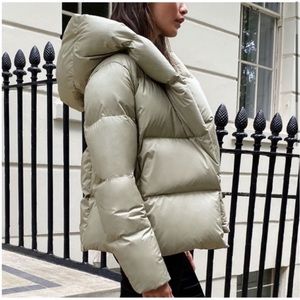 ✨Aritzia✨ Duvet Short Puff Coat